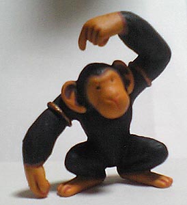 pNpN